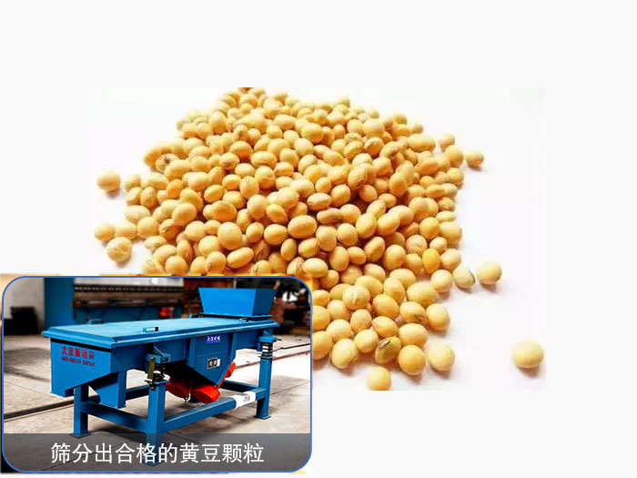 <b>黄豆直线振动筛</b>